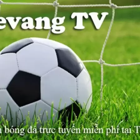 Thevang TV Live bóng đá – Link xem trực tiếp bóng đá Thevang TV